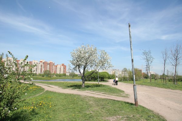 Ул. Димитрова, Фрунзенский район парк