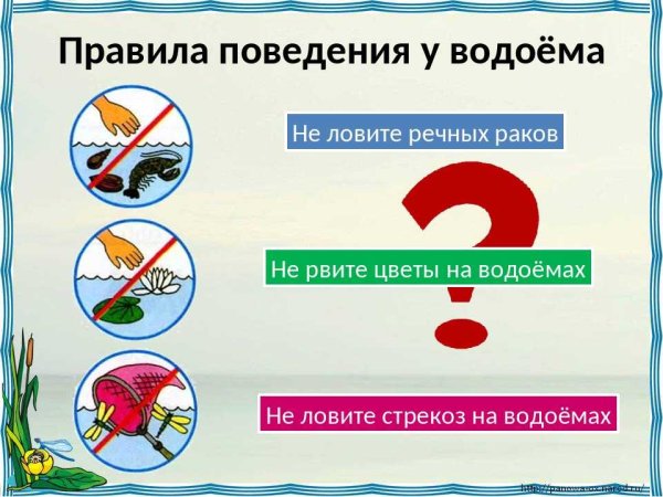 Правила поведения на водоемах