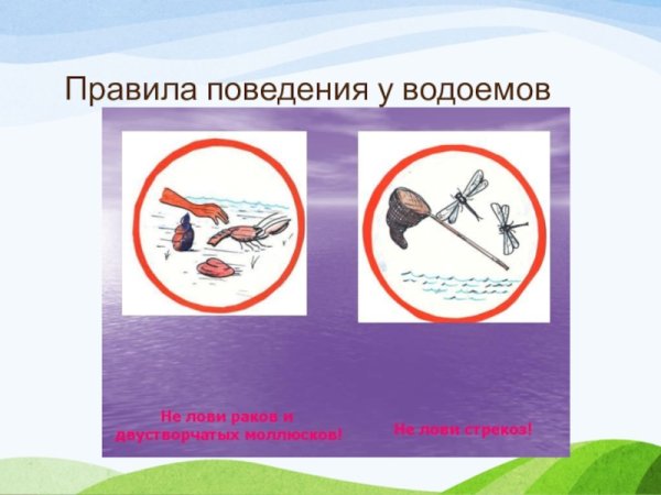 Поведение на водоемах