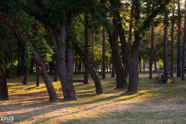 Парк Старая Кубань Краснодар