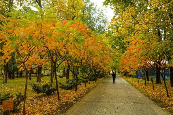 Парк Краснодар осень