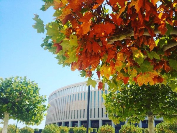 Осень в Краснодаре