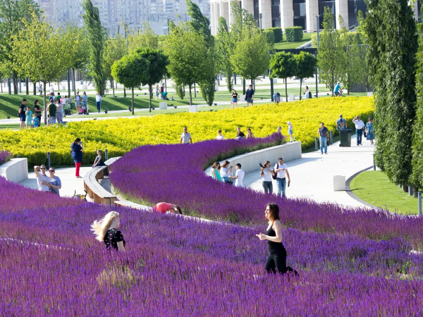 Парк Галитских Краснодар