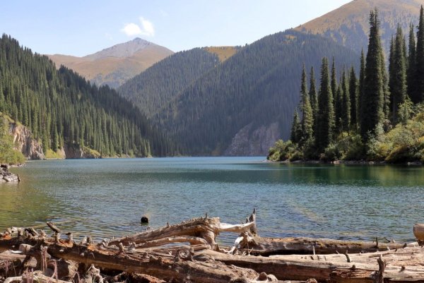 Кольсайские озёра (национальный парк)