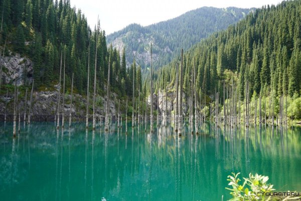 Озеро Каинды в Казахстане