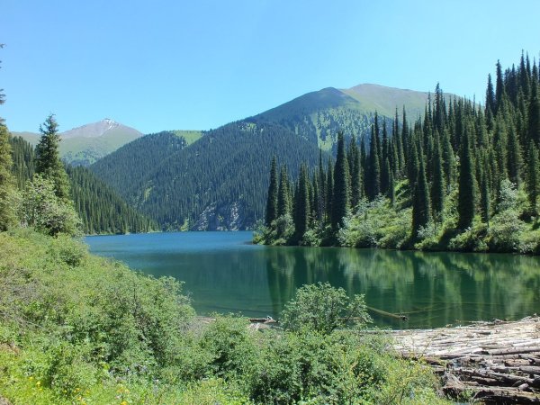 Кольсай Казахстан