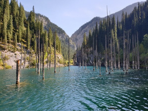 Озеро Каинды в Казахстане