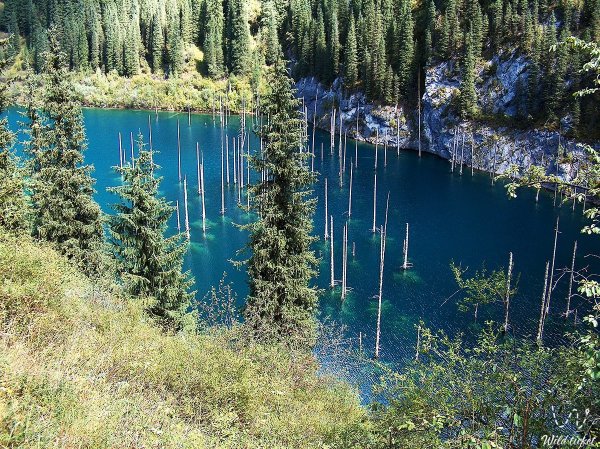 Каинды озеро Алматы