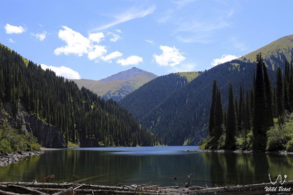 Ущелье Кольсай