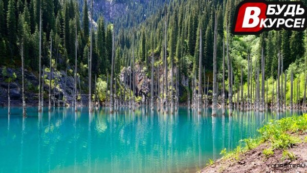 Озеро Каинды в Казахстане