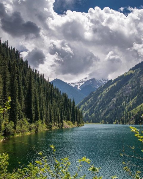 Кольсай Казахстан