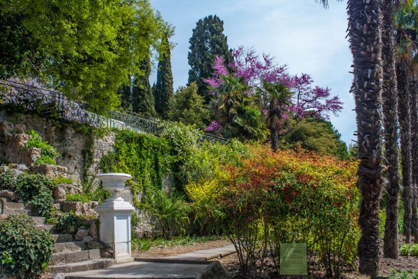 Никитский Ботанический сад Ялта