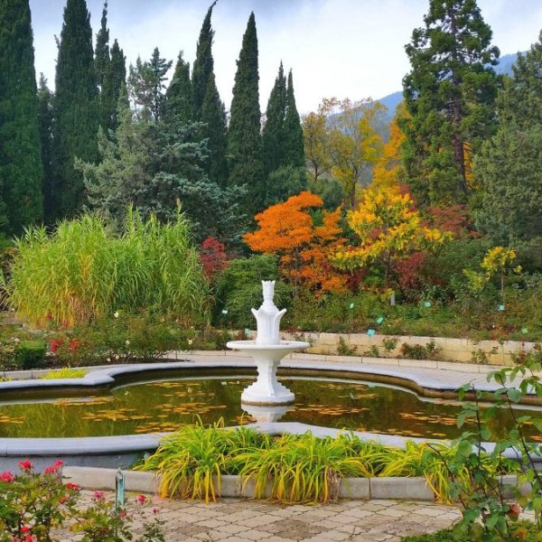 Никитский Ботанический сад Ялта