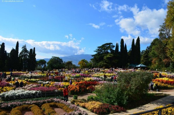 Крым Ялта Никитский Ботанический сад