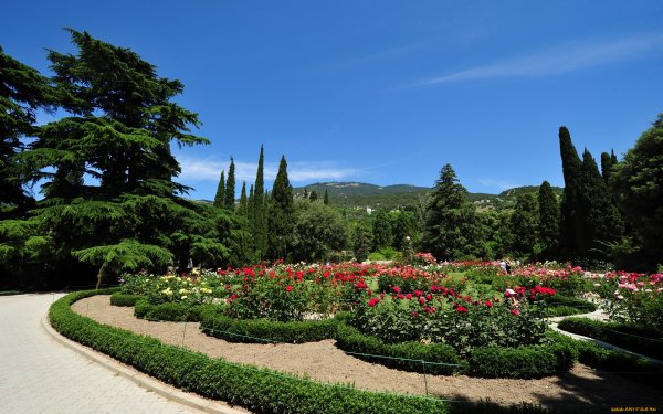 Никитский Ботанический сад в Крыму