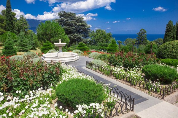 Ливадийский парк Ливадия Крым