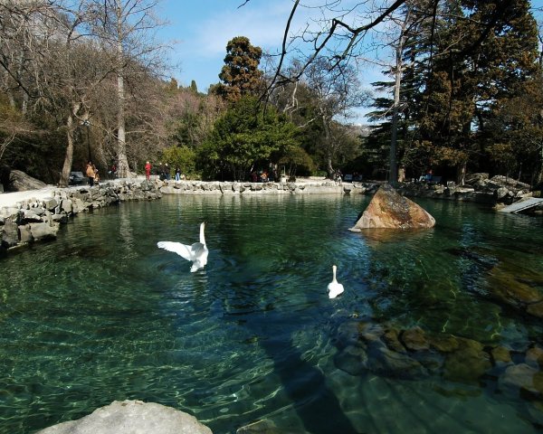 Парк Воронцовского дворца в Крыму