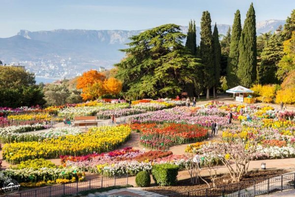 Крым Ялта Никитский Ботанический сад