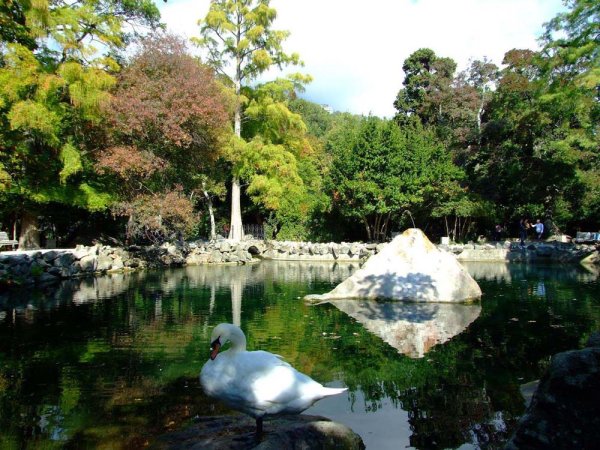 Парк Воронцовского дворца в Крыму