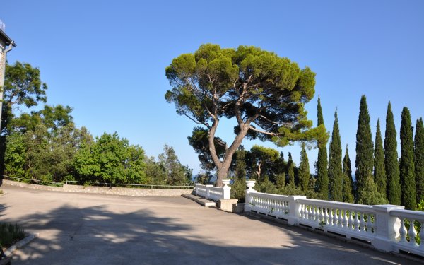 Сквер Кореиз