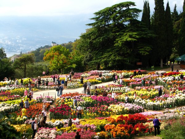 Никитский Ботанический сад в Крыму