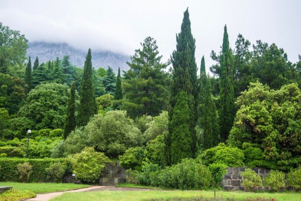 Алупкинский дворец и парк