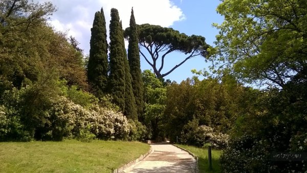 Воронцовский парк Крым Алупка