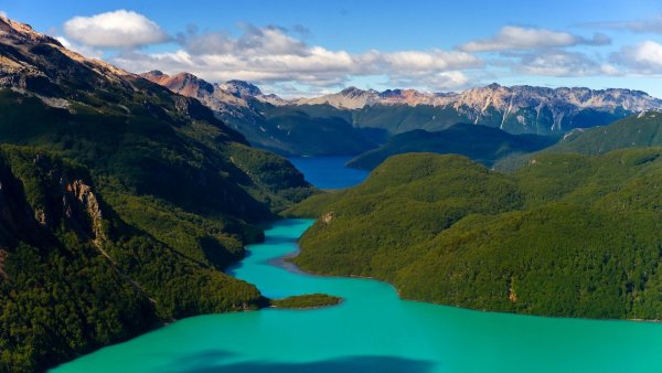 Патагония Аргентина лес