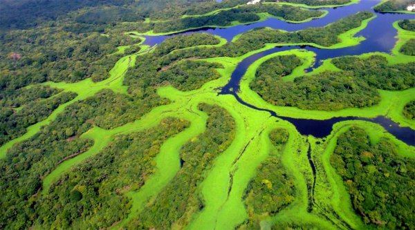 Река Амазонка в Бразилии