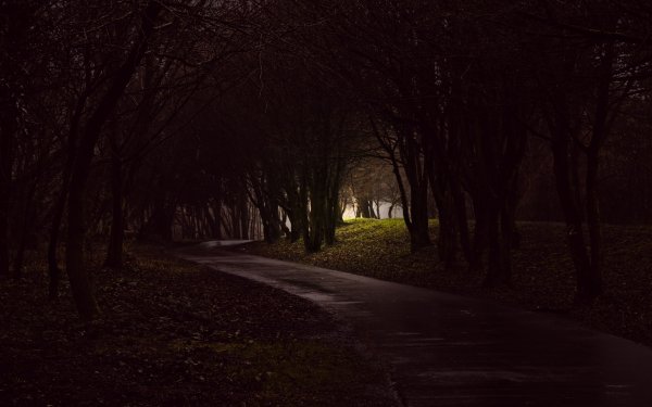 Темная улица в парке