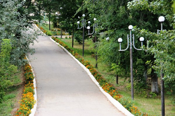 Поселок Александров Гай