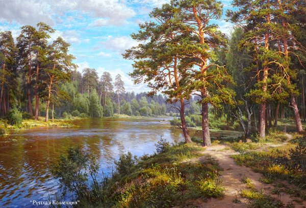 Сергей Басов озеро в лесу