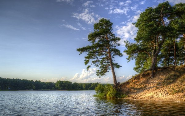 Река Обь Сосновый Бор берег