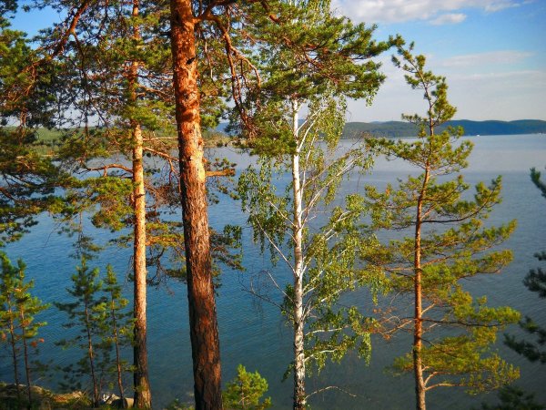 Карагайский Сосновый Бор