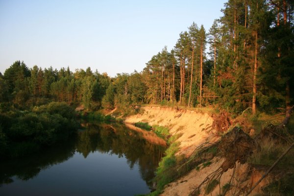 Река Клязьма обрывистый берег