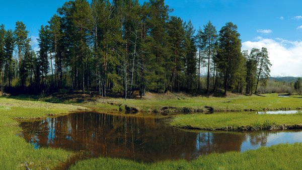 Лесные озёра средней полосы России