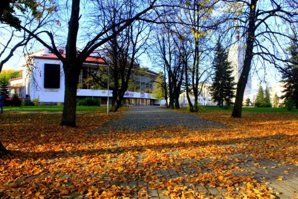 Осень в Петровском парке в Архангельске