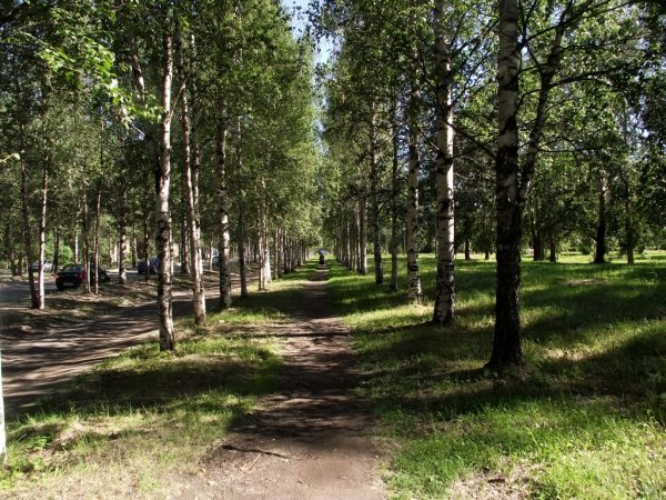 Ломоносовский парк Архангельск