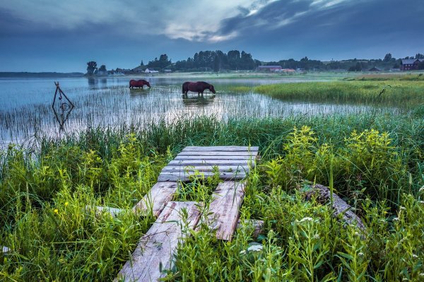 Кенозерский национальный парк