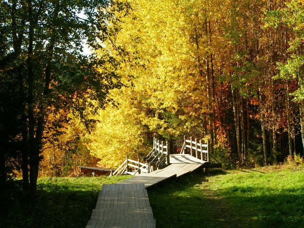 Осенние малые Карелы Архангельск