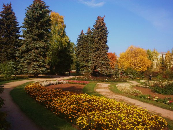 Дендрологический парк Биробиджан