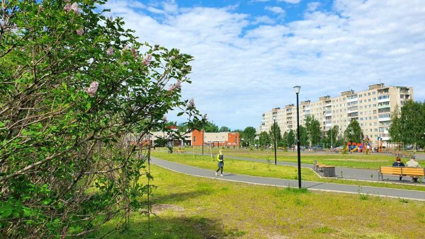 Парк Зарусье Архангельск фото