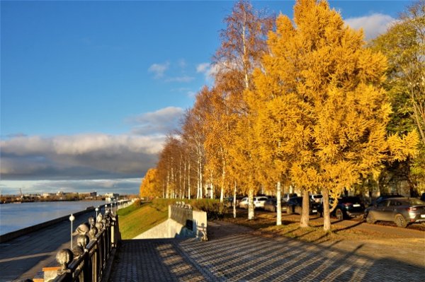 Осень Архангельск набережная Северной Двины