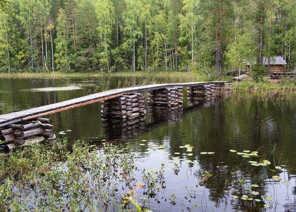 Кенозерский национальный парк