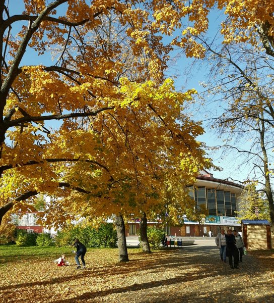 Архангельск осенью
