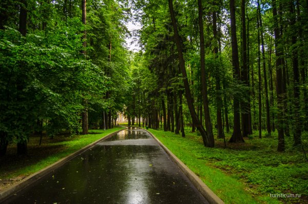 Архангельское музей усадьба роща