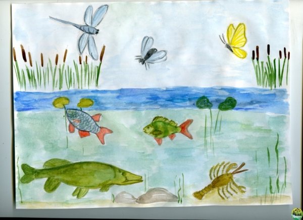 Обитатели озера для детей