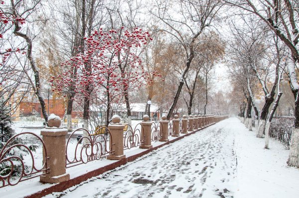 Петропавловск СКО парк