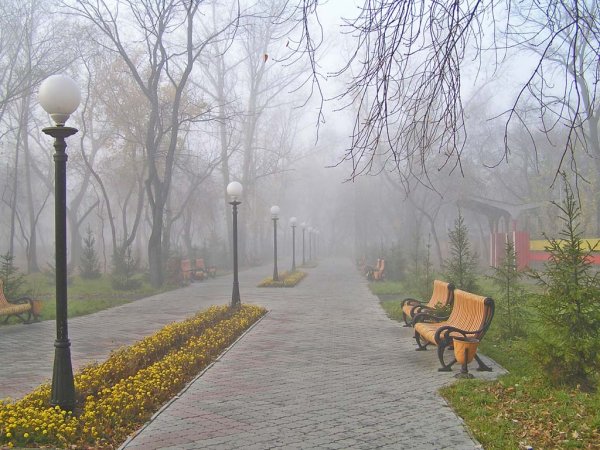 Городские фонари в лесопарк