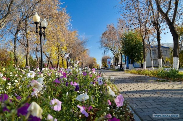 Петропавловск весной Казахстан